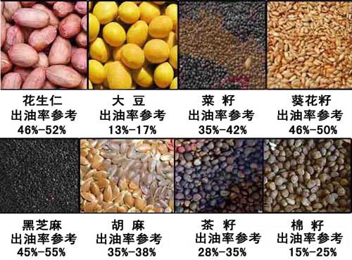 雙象榨油機(jī)出油率介紹