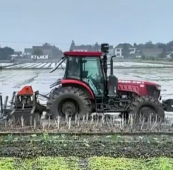 您負(fù)責(zé)統(tǒng)籌全局，它負(fù)責(zé)腳踏實(shí)地